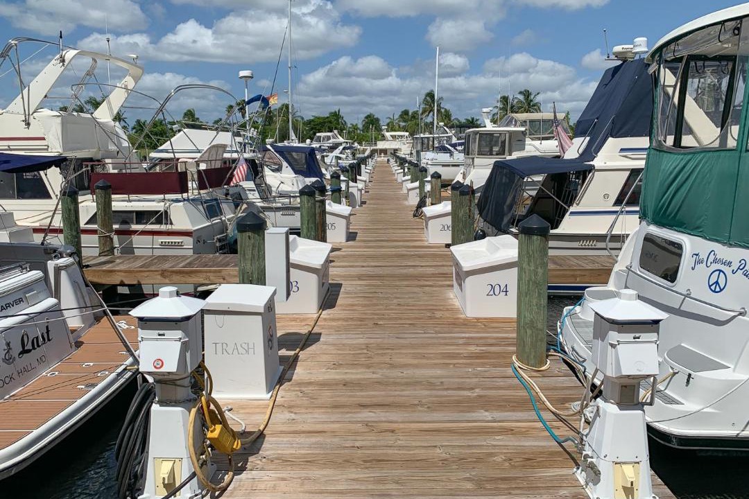 Photo of Others in Cape Harbour