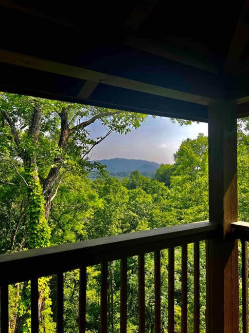 Photo of Others in Sevierville