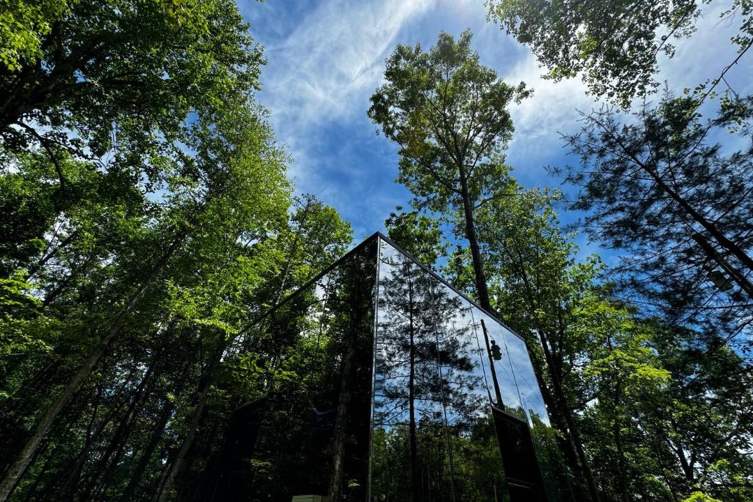 Photo of Others in Balsam Grove