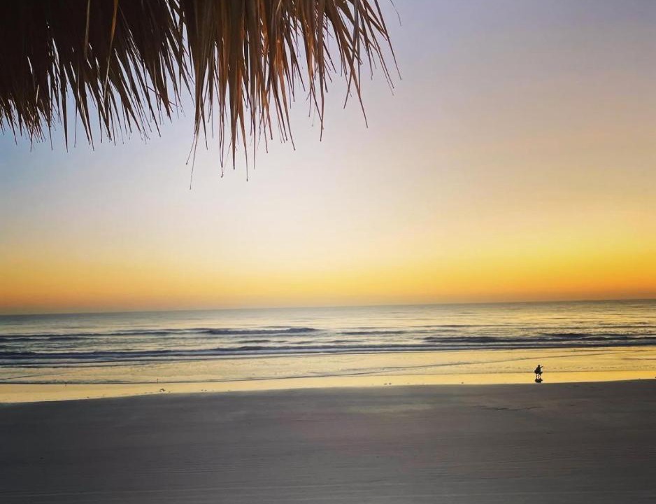 Photo of Others in Daytona Beach