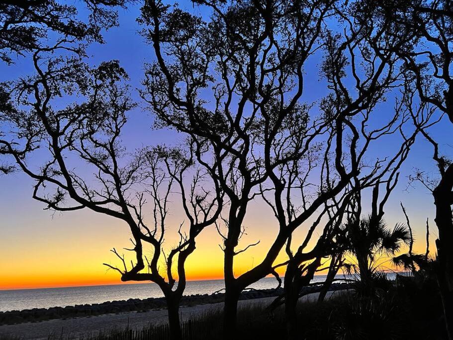 Photo of Others in Jekyll Island