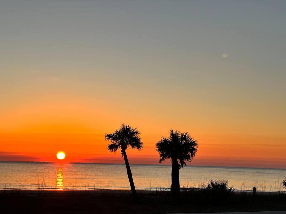 Photo of Others in Jekyll Island