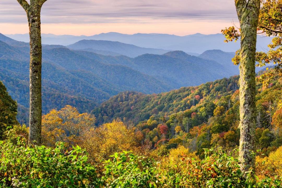 Photo of Others in Sevierville