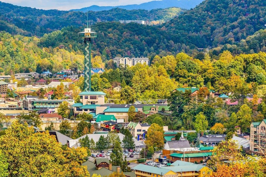 Photo of Others in Sevierville