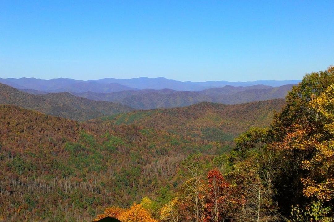 Photo of Others in Sevierville