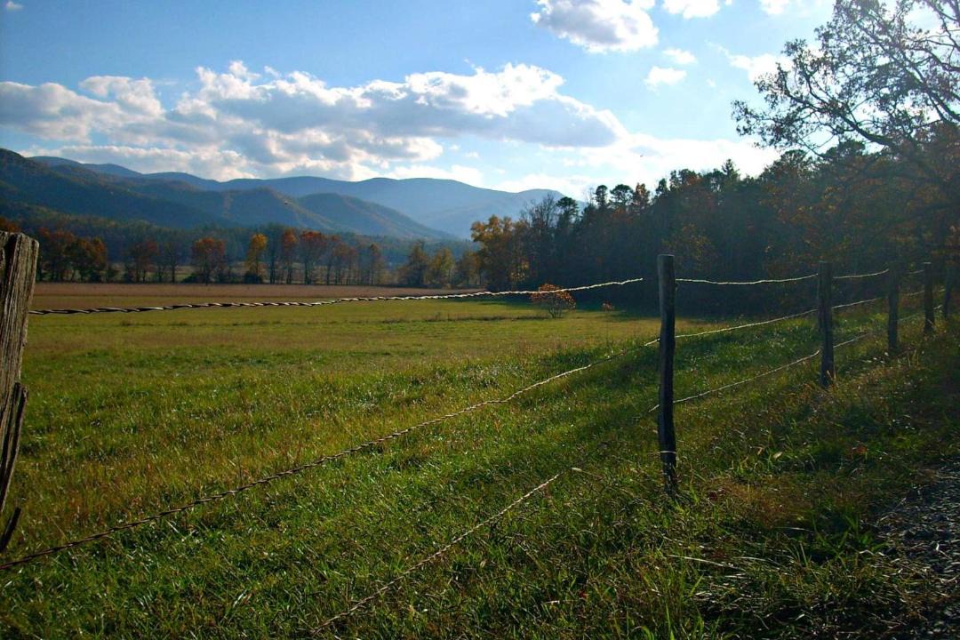 Photo of Others in Sevierville