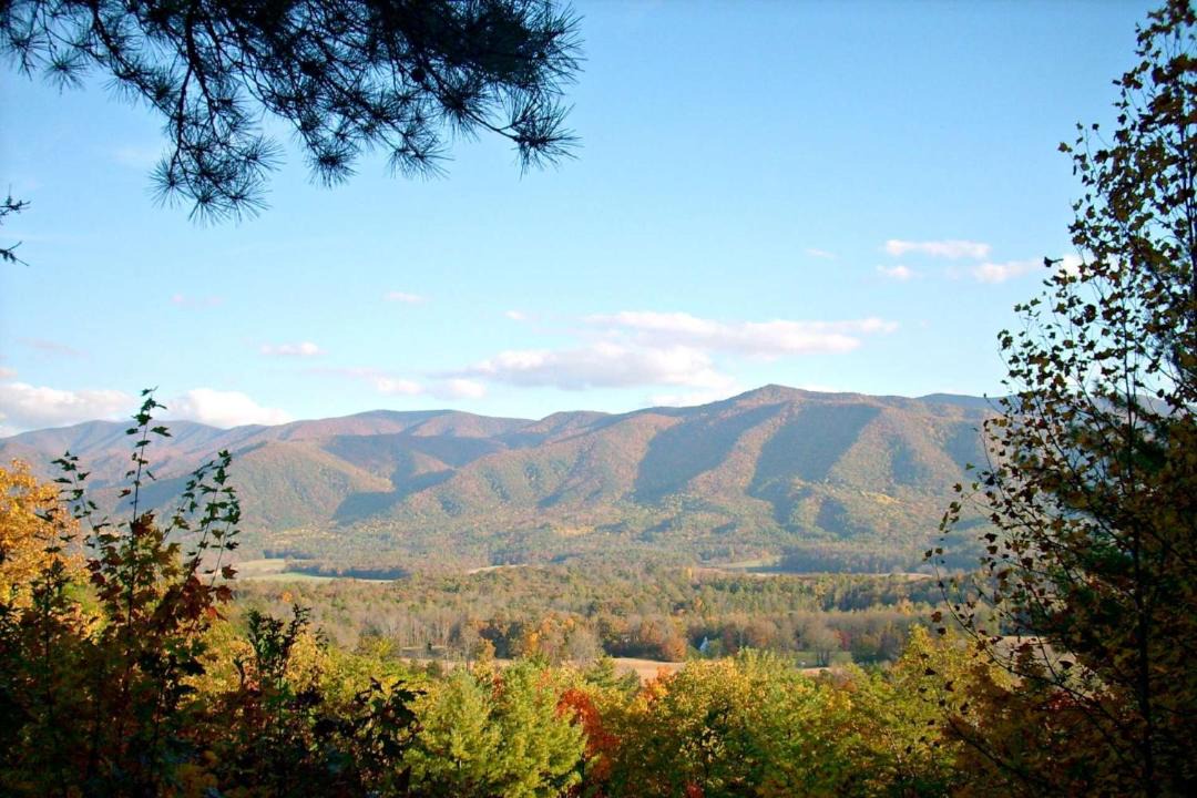 Photo of Others in Sevierville