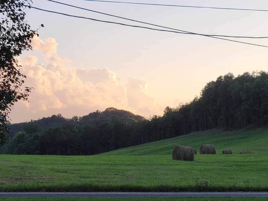 Photo of Others in Dandridge