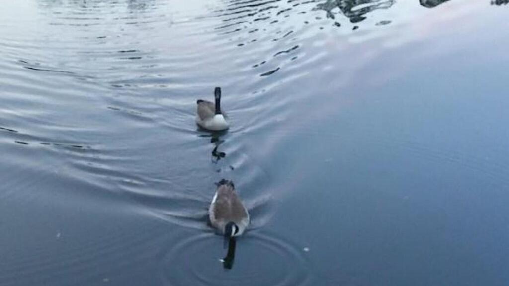 Photo of Others in Slidell