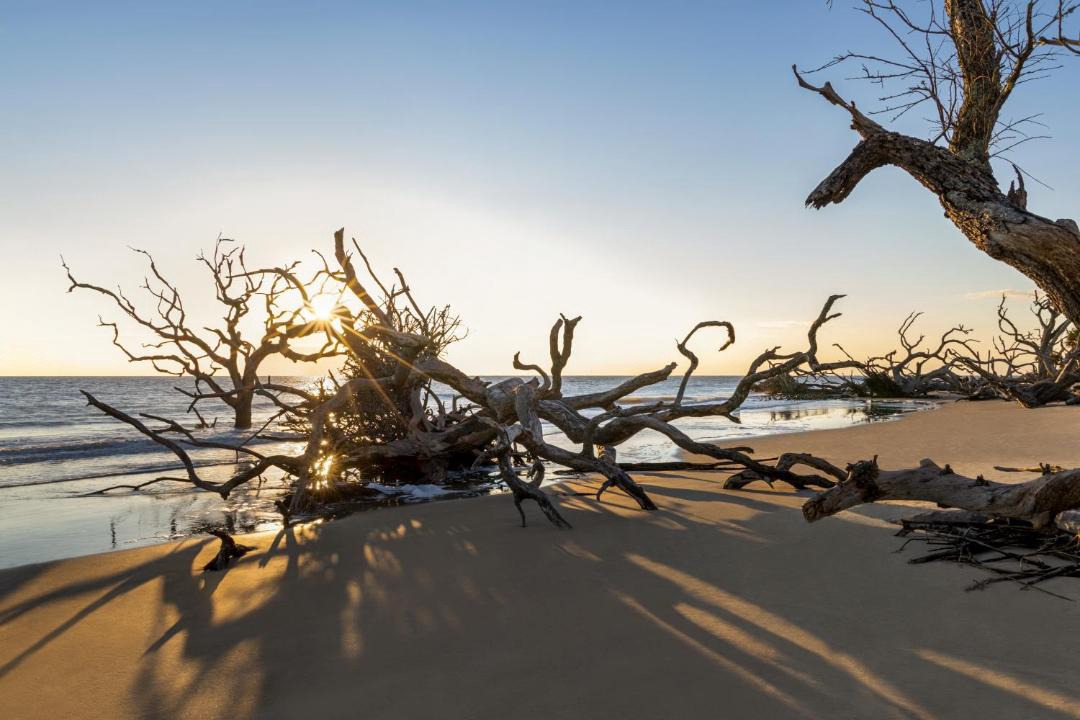 Photo of Others in Jekyll Island