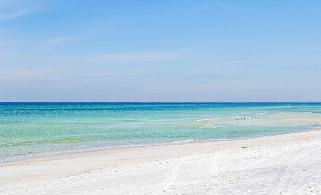 Photo of Others in West Panama City Beach