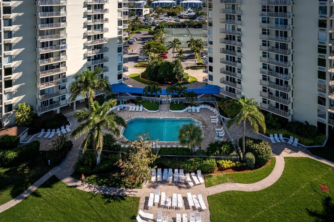 Photo of Others in South Island