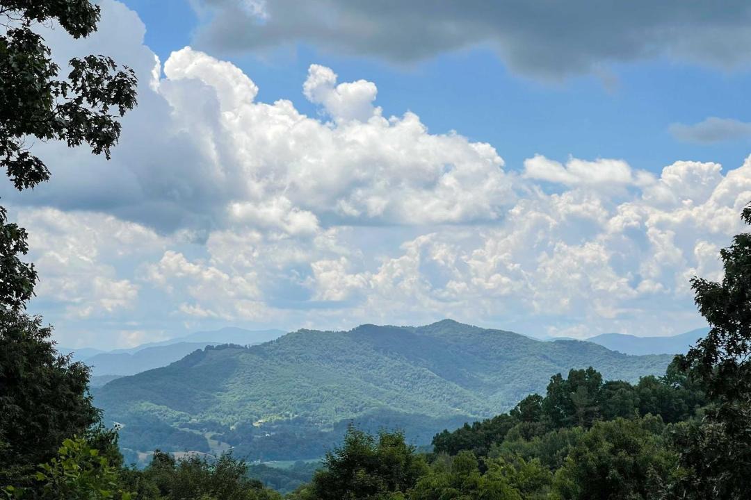 Photo of Others in Waynesville