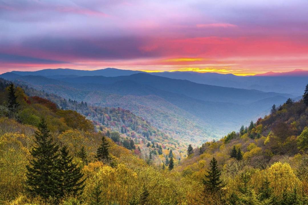 Photo of Others in Sevierville
