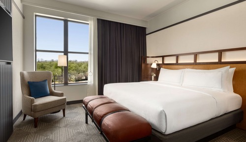 Suite, 1 King Bed with Sofa bed