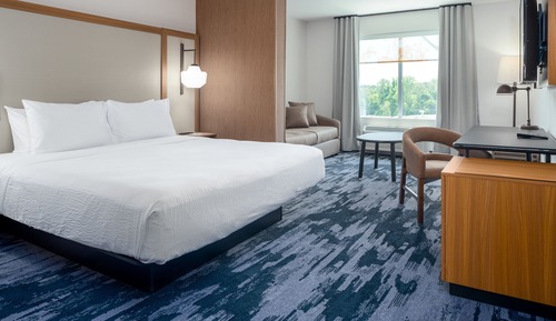 Suite, 1 King Bed with Sofa bed, Roll-in Shower