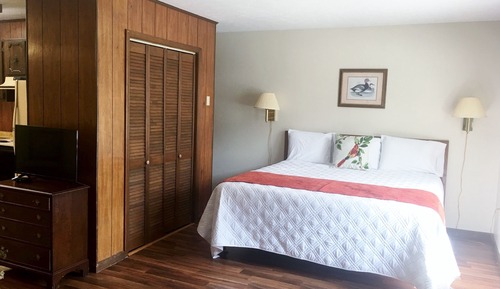 Studio, 1 King Bed, Mountain View