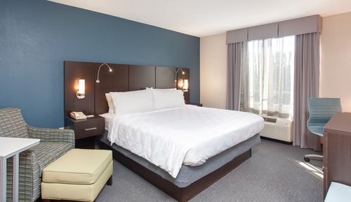 Standard Room, 1 King Bed, Accessible (Comm & Mobil, Accessible Tub)