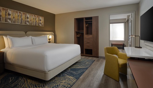 Suite, 1 King Bed with Sofa bed