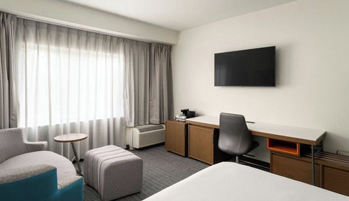 Room, 1 King Bed with Sofa bed