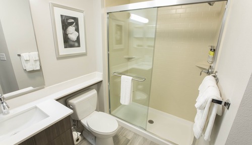 Suite, 1 King Bed