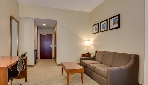 Suite, 1 King Bed with Sofa bed, Accessible, Non Smoking (w/ Roll-in Shower)