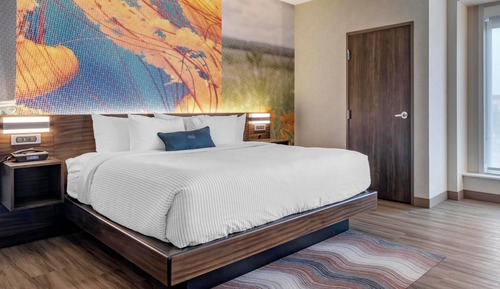 Premium Suite, 1 King Bed with Sofa bed, Non Smoking (Efficiency, Upgrade)