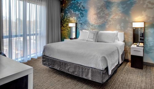 Suite, 1 King Bed with Sofa bed