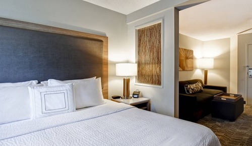 Suite, 1 King Bed with Sofa bed