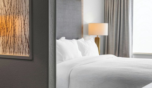 Suite, 1 King Bed with Sofa bed