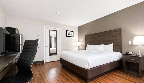 Room, 1 King Bed, Accessible