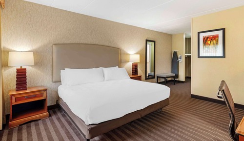 Standard Room, 1 King Bed, Accessible, Refrigerator & Microwave