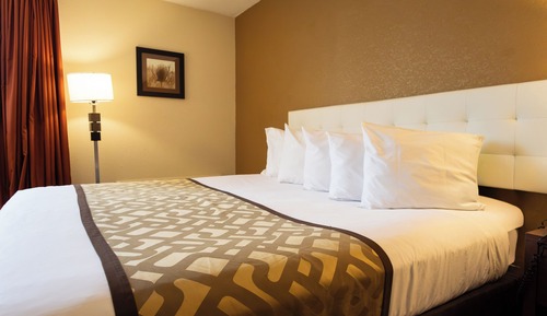 Room, 1 King Bed, Non Smoking
