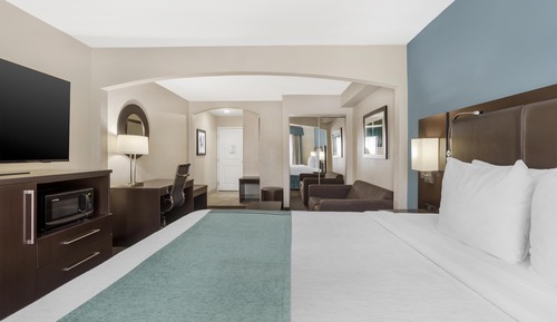 Suite, 1 King Bed, Non Smoking, Refrigerator & Microwave (with Sofabed)