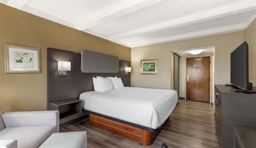 King Room - Non-Smoking