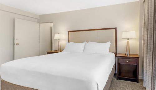 One-Bedroom Suite
