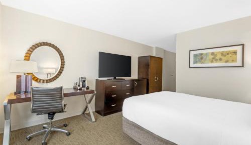 Mobility Accessible Deluxe King Room with Roll-In Shower 