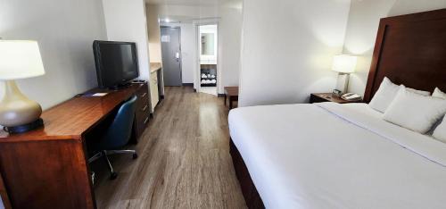 Deluxe King Room  with Sofa Bed - Non-Smoking