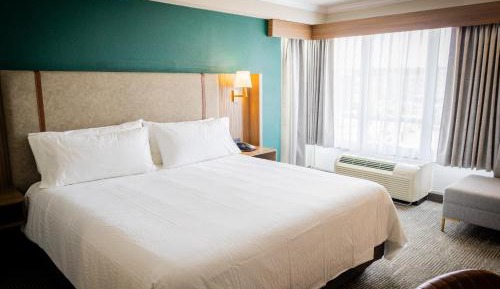 One-Bedroom King Suite