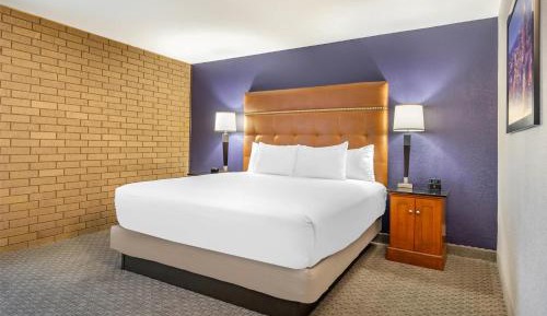 Spacious King Suite
