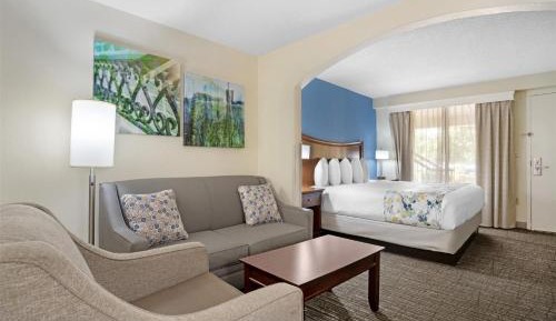 King Suite with Spa Bath and Sofa Bed - Non-Smoking