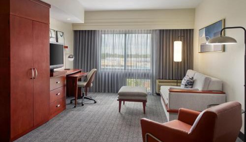 One-Bedroom King Suite with Bathtub and Sofa Bed - Mobility Access/Hearing Accessible