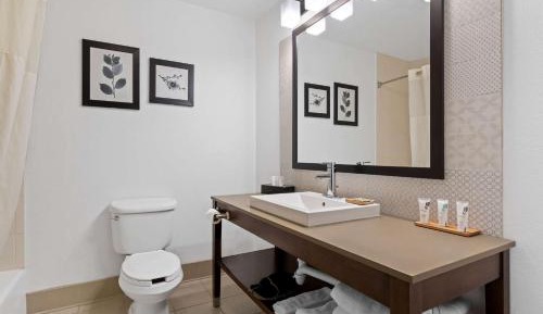 One-Bedroom Suite