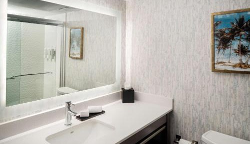 One-Bedroom King Suite - Hearing Accessible/Non-Smoking