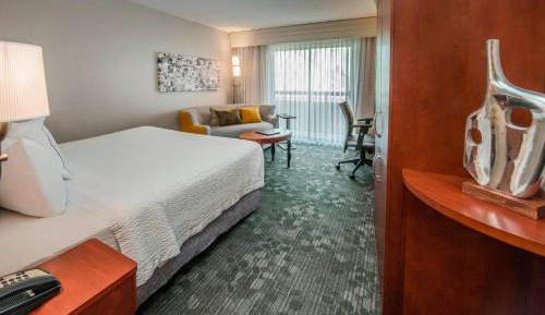 King Room with Sofa Bed