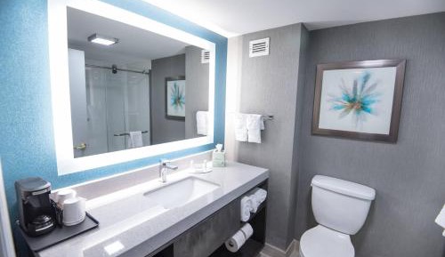 One-Bedroom King Suite with Sofa Bed