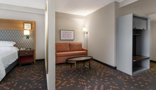 One-Bedroom Suite with Sofa Bed