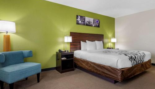 One Room Suite with Sofa bed - Disability Access/Non Smoking