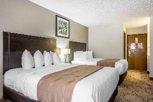 Queen Room with Two Queen Beds - Non-Smoking