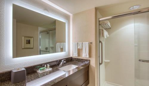 One-Bedroom King Suite with Sofa Bed